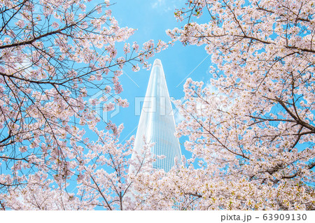 季節 青 景色 63909130