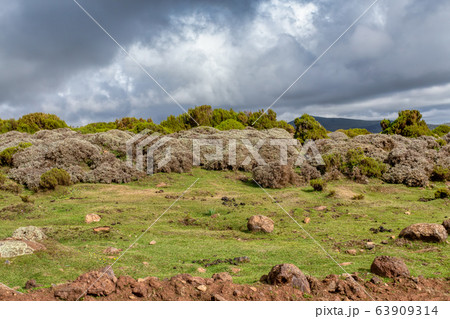 beautiful landscape of Bale Mountain, Ethiopia beautiful landscape of Bale Mountain, Ethiopia 63909314