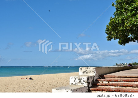 ハワイの休日 ハワイの休日 63909537