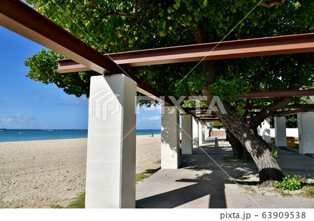 ハワイの休日 63909538