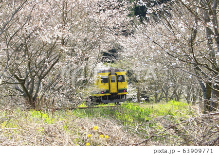 春のいすみ鉄道 春のいすみ鉄道 63909771