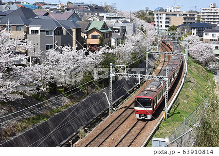 桜並木を行く京急600形電車 桜並木を行く京急600形電車 63910814