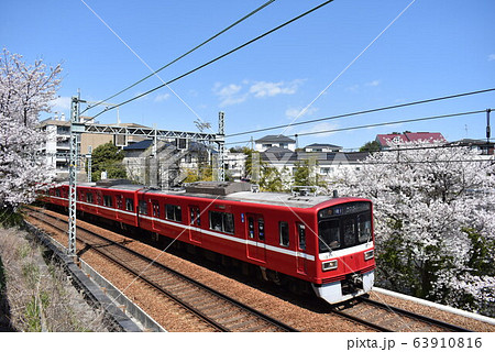 桜と京急1500形電車 桜と京急1500形電車 63910816