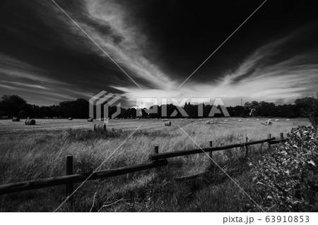 田舎 樹木 秋 63910853