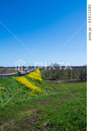 荒川堤 風景 川幅日本一 鴻巣市方面 埼玉県吉見町 荒川堤 風景 川幅日本一 鴻巣市方面 埼玉県吉見町 63911080
