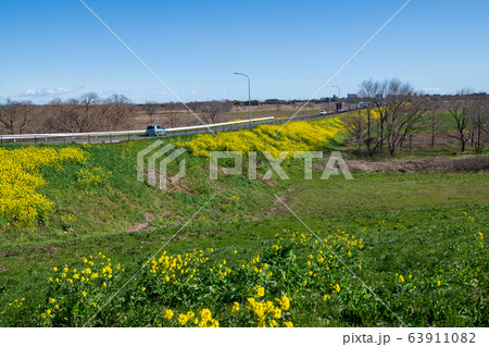 荒川堤 風景 川幅日本一 鴻巣市方面 埼玉県吉見町 荒川堤 風景 川幅日本一 鴻巣市方面 埼玉県吉見町 63911082