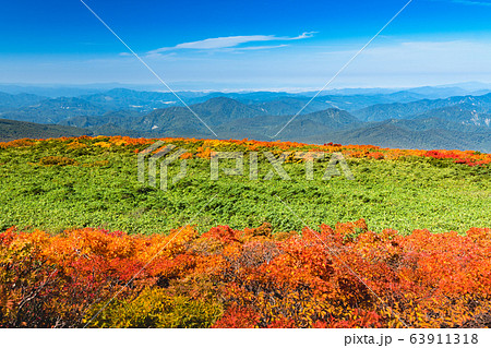 快晴の栗駒山山頂付近の紅葉 63911318
