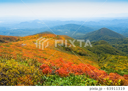 快晴の栗駒山紅葉神の絨毯 63911319