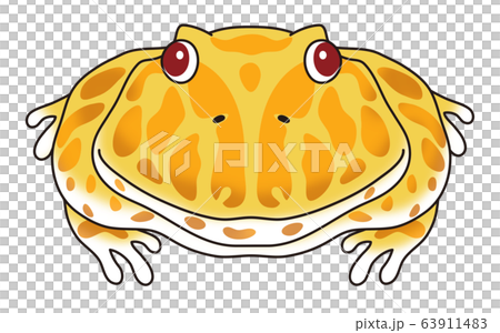 ベルツノガエル キャラクター イラスト ベルツノガエル キャラクター イラスト 63911483