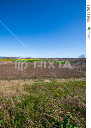 荒川堤　風景　川幅日本一　鴻巣市方面　埼玉県吉見町　　 63911563