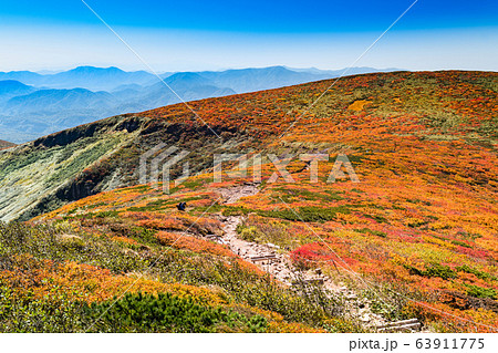 栗駒山紅葉神の絨毯天狗平 63911775