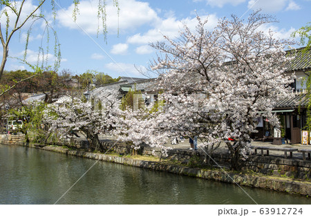 美観地区のサクラの写真素材