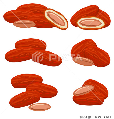 Illustration on theme different types of date 63913484