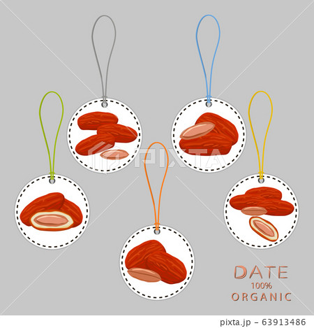Illustration on theme different types of date 63913486