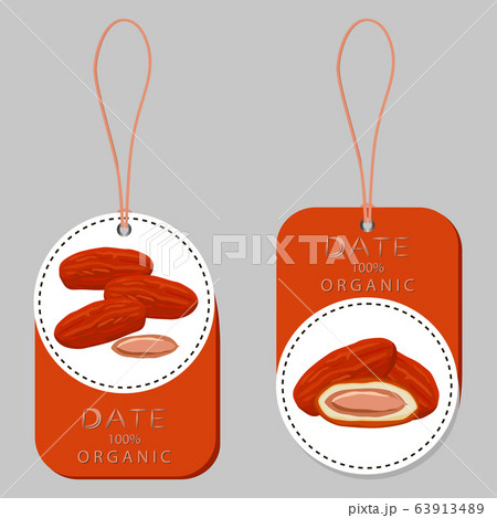 Illustration on theme different types of date 63913489
