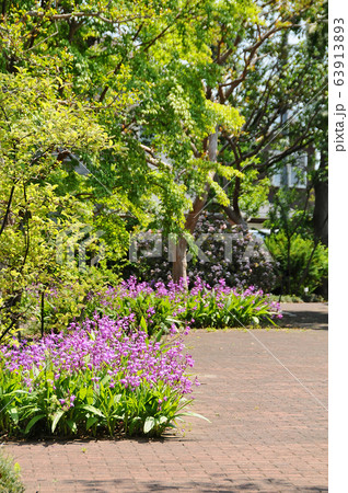 横浜市児童遊園地　横浜市保土ヶ谷区 63913893