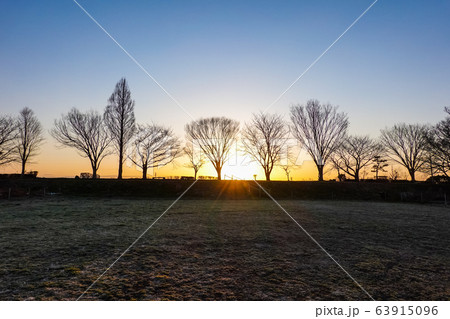 原っぱの木立 63915096