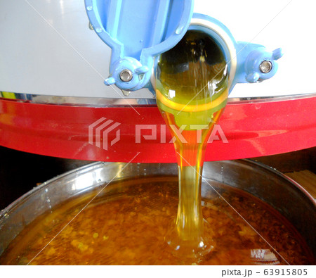 Background texture, dropping drops of sweet honey 63915805