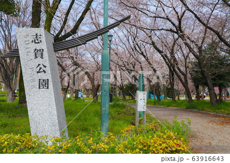 志賀公園 志賀公園 63916643