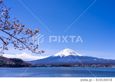 富士山と桜　河口湖 63916658