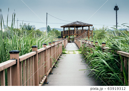 Wooden gazebo and windy wetland park at summer day in Korea 63919312