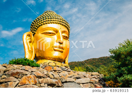 Golden buddha statue in Wawoo Temple, Korea 63919315