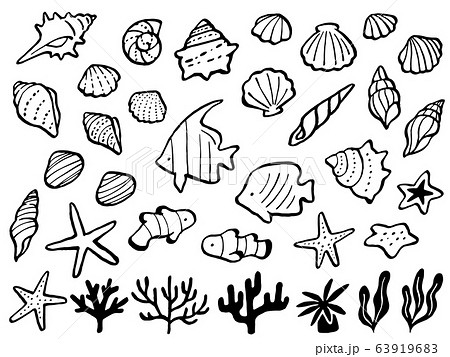 海のモチーフの手描き線画イラストセットのイラスト素材 63919683 Pixta