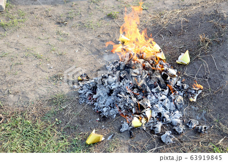 Qing Ming Qing Ming 63919845