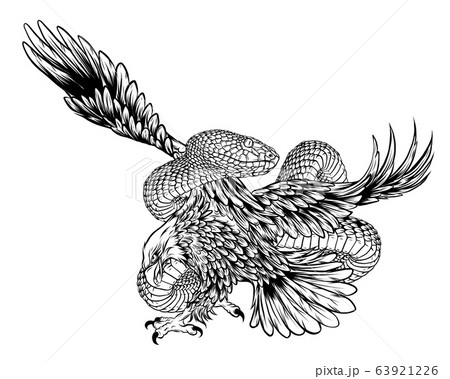 Eagle fight Snake vector illustration design art Eagle fight Snake vector illustration design art 63921226