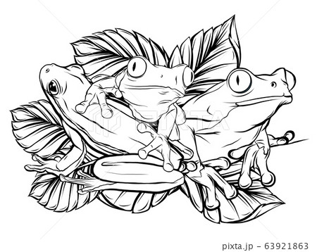 Silhouette Frog On Leaf Vector Illustration Designのイラスト素材
