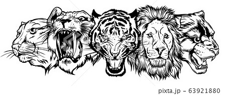 Wild Animals Heads Set Lion Tiger Jaguar のイラスト素材