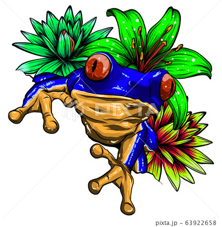 Tropical Frog With Flowers Vector Illustration のイラスト素材