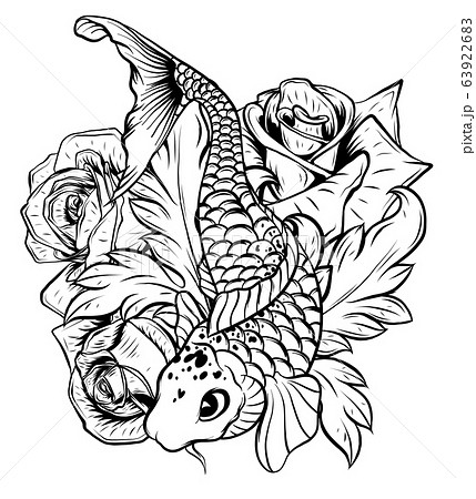 Illustration Of Koi Fish Drawing Vector のイラスト素材