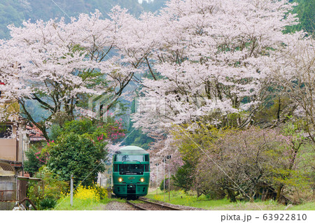 ゆふいんの森と桜 63922810