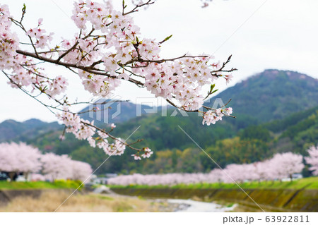 春の光景　今川 63922811