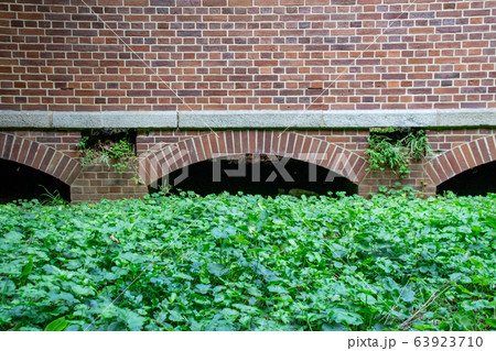 イギリス積みの倉庫跡と緑の草 63923710