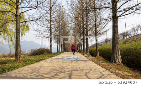 植物 写真 自然 63924007