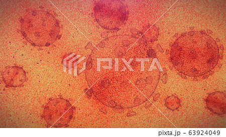 virtus C Yellow virtus C Yellow 63924049