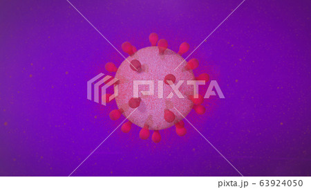 virtus NA Purple virtus NA Purple 63924050