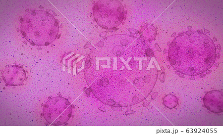 virtus C Purple virtus C Purple 63924055