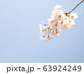 春の花　桜 63924249