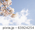 春の花　桜 63924254