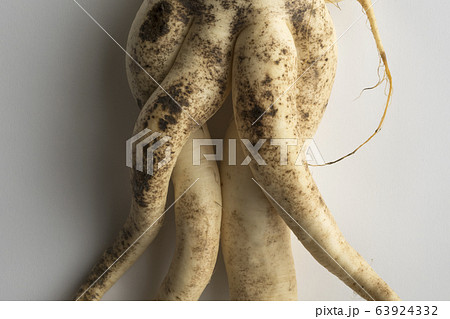 色っぽい大根 63924332