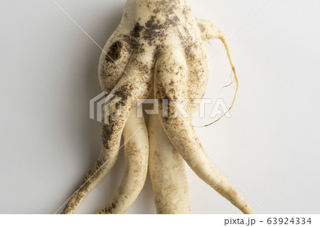 色っぽい大根 63924334