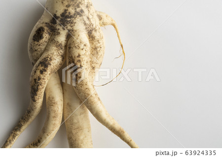 色っぽい大根 63924335