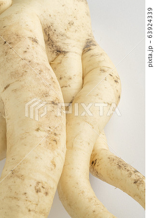 色っぽい大根 63924339