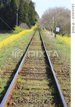 いすみ鉄道　いすみ線　新田野（にったの）駅付近 63924767