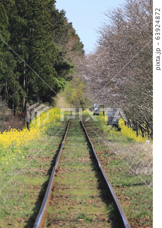 いすみ鉄道　いすみ線　新田野（にったの）駅付近 63924872