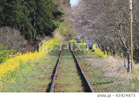 いすみ鉄道　いすみ線　新田野（にったの）駅付近 63924873