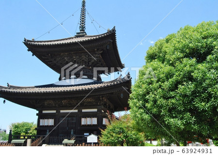 勝鬘院愛染堂の多宝塔 勝鬘院愛染堂の多宝塔 63924931